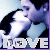 msgplus_img2933.png