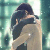 msgplus_img4400.png